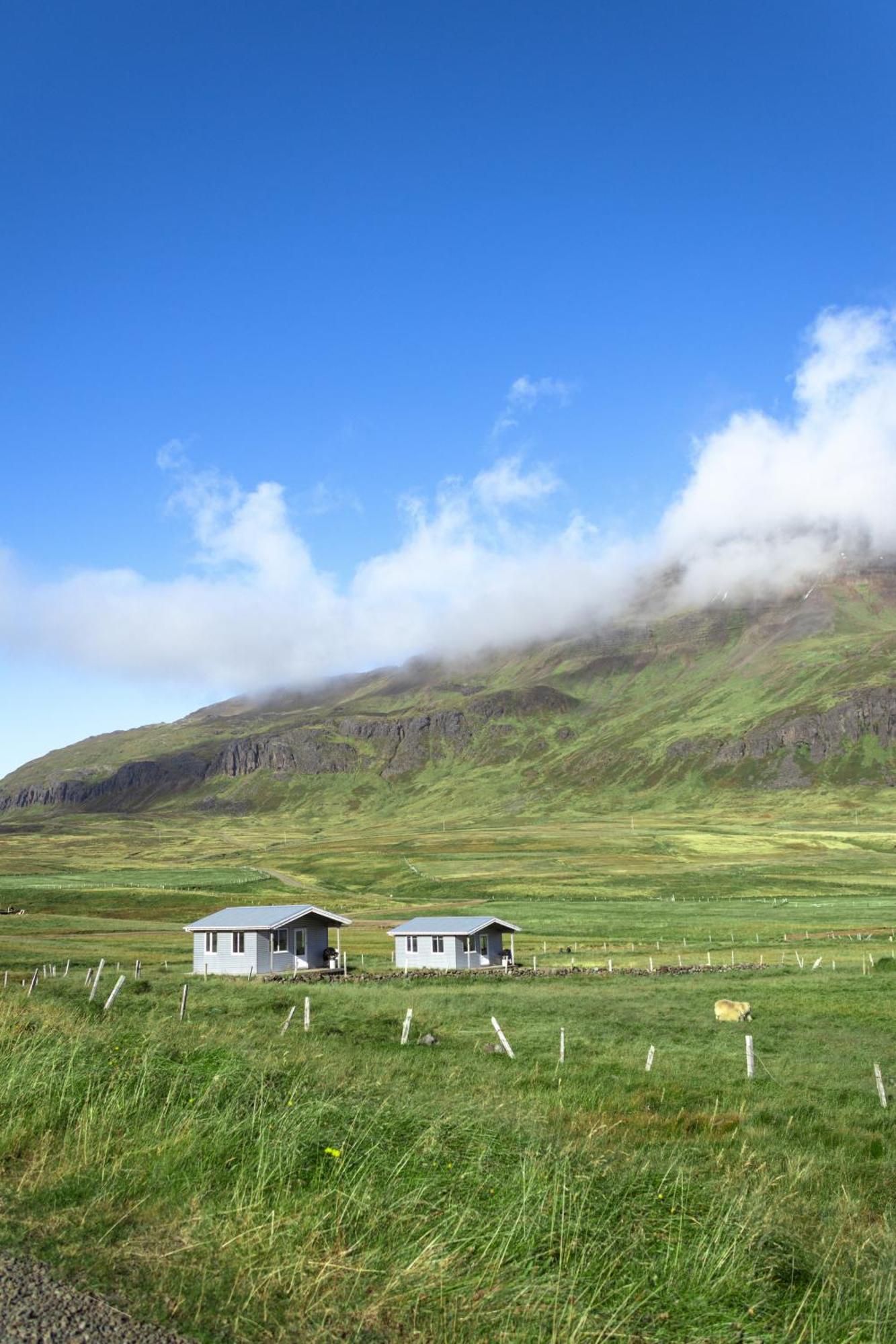 Urdartindur Guesthouse&Cottages Northurfjorthur Chambre photo